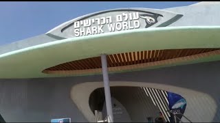 Eilat ৰ Shark wrold ত এটা দিন।