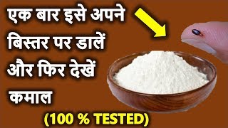 खटमल हो या कीटाणुं जड़ से ख़त्म होंगे इस उपाय से | How To Get Rid of Bed Bugs