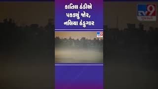 કાતિલ ઠંડીએ પકડ્યું જોર, નલિયા ઠંડુગાર | #winter #kutch #gujaratweather #tv9gujarati #shorts