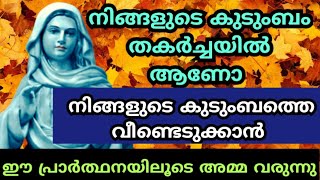 നിങ്ങളുടെ കുടുംബം തകർച്ചയിൽ ആണോ  ഈ പ്രാർത്ഥനയിലൂടെ അമ്മ വരുന്നു #kreupasanam #കൃപാസനം #kripasanam