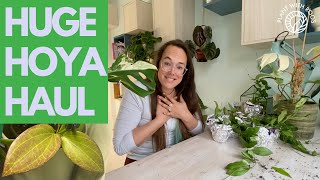 Unboxing HUGE Hoya haul! | Plant with Roos