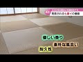 日本で唯一大分・国東だけで生産　畳表の材料「七島イ」３５０年を超える歴史と見直されるその価値【大分】