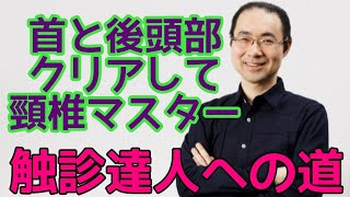 【触診達人にあなたを導く】後頭骨と頸椎２番の見極め方法を公開