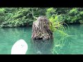 カヤック・sup持込み【奥利根湖】夏の悪沢～幽の沢～ゴジラ沢巡り