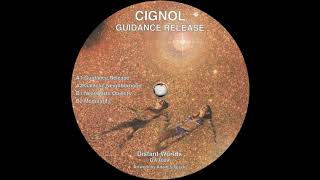 Cignol - Modularity [DWT009]