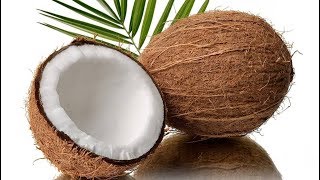 रात को सोने से पहले खा ले नारियल का एक टुकड़ा फिर देखें चमत्कार !! Benefits of Coconut