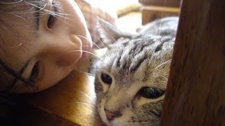 姪っ子に撫で撫でされる猫 - A cat and niece.