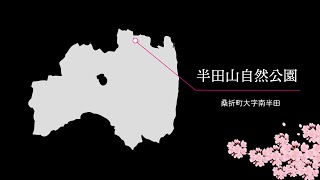 桑折町・半田山自然公園「ふくしま、いいとこ。オンライン桜ツアー」