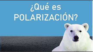 ¿QUE ES POLARIZACIÓN?