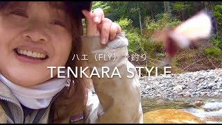 フライフィッシング 九州 宮崎  天然ヤマメ 釣り旅 Fly Fishing JAPAN