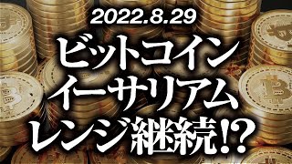 ビットコイン・イーサリアム保ち合い継続！？［2022/8/29］【仮想通貨・BTC・ETH・FX】※2倍速推奨