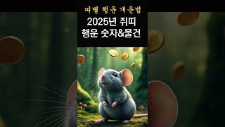 2025년 쥐띠에게 행운을 가져다주는 숫자\u0026 컬러! 쥐띠를 대박나게하는 행운의 물건! 올해는 이 물건을 꼭 챙기세요! #띠별행운, #개운법, #풍수, #띠별운세,