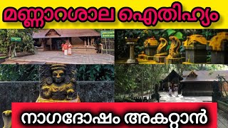 മണ്ണാറശാലയിലെ മഹാത്ഭുതം | നാഗരാജാവിന് ജൻമം നൽകിയ അമ്മ | Mannarasala Nagaraja Temple