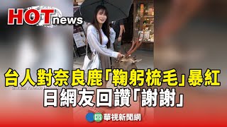 台遊客對奈良鹿「鞠躬梳毛」暴紅　日網友回讚「謝謝」｜華視新聞 20240805