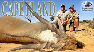 Huge CAPE ELAND Hunt in Kalahari with CVS