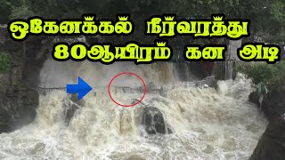 ஒகேனக்கலில் நீா்வரத்து திடீா் உயா்வு dharmapuri hoganakkal flood  #hoganakkal #ஒகேனக்கல்