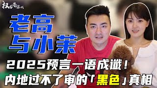 内地过不了审的「黑色」真相！老高与小茉为何这么火？又为何在内地被封杀？原因太让人意外！ 解密老高与小茉的成名之路#老高与小茉 #权利者游戏