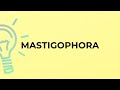 What is the meaning of the word MASTIGOPHORA?