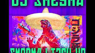 Dj Smegma - 21 - Marchigian Routine [da \