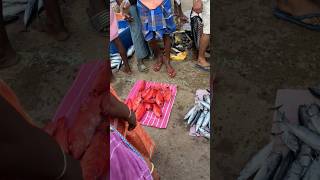 நல்ல fresh ஆன தம்பான் மீன் ஏலம்  #fishauction #shorts #shortsvideo #neerodi