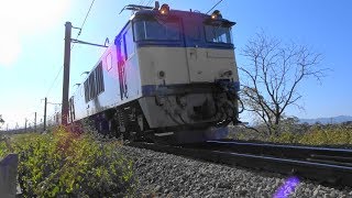 [FHD]JR東日本・高崎（八高）線：北藤岡・新町～倉賀野駅間、EF64形+EF81形+E26系12B/■団体臨時列車■『カシオペア紀行』走行シーン。《9011レ》