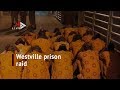 Westville Prison raid shows how inmates hide contraband