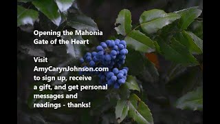 Solstice: Open the Mahonia Gate of the Heart