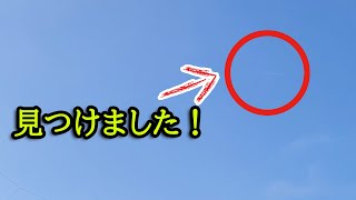 ＵFO探してたらあれ見つけた　ハスキー犬と保護犬トイプードル