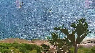 Isola d'Elba--tutto il giro completo -- guardando le spiagge