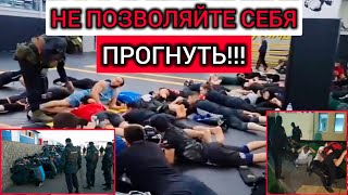 ❗РУССКИЕ НАЦИСТЫ ИЗДЕВАЮТСЯ НАД МУСУЛЬМАНАМИ❗ ГДЕ НАША ЧЕСТЬ⁉️ #русская_община #кавказ