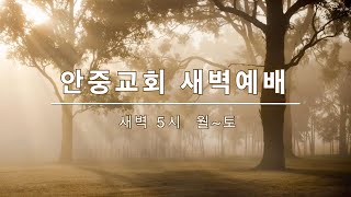 2024. 04. 24. (수) 안중교회 새벽예배