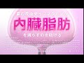 からだ十六茶｜十六茶｜アサヒ飲料 17 00~19 59 新垣結衣