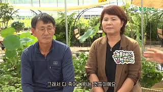 [농블레스TV - 농블레스 원포인트 컨설팅] 농블레스 2호 통영시 맛기찬 딸기농장