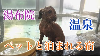 湯布院ガーデンホテル【ペットと泊まれる宿】【大分】【温泉】【犬】【トイプードル】【ドッグラン】