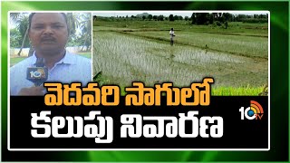 వెదవరి సాగులో కలుపు నివారణ | Weed Control | Matti Manishi | 10TV