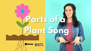 Roots, Stem, Leaves, Flower | Parts of a Plant Song | Parts of a Flower Song