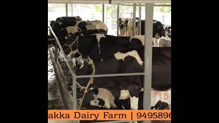 Malakka Dairy Farm Wadakanchery Thrissur Kerala 9495896999