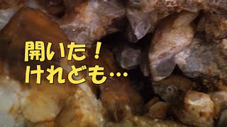 良い水晶ガマが開いたけれども、という動画