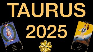 ♉️ Taurus 2025 Prediction Money Career Finance Love Relationship Tarot Reading The year of changes