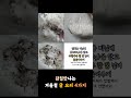 굴전 석화치즈구이 굴국밥 맛있는 굴요리 4가지 모음