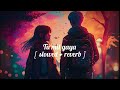 TU MIL GAYA (Slowed+Reverb) | RAJKUMMAR RAO, ALAYA | JUBIN NAUTIYAL,TULSI KUMAR |TANISHK |BHUSHAN K