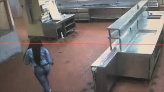 Rosemont hotel surveillance video