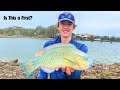 Sunshine Coast Canal Fishing | PARROT FISH!