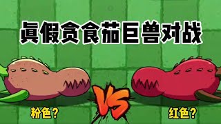 植物大战僵尸：真假贪吃茄对战哪个更厉害？【PVZ寒龙游戏】