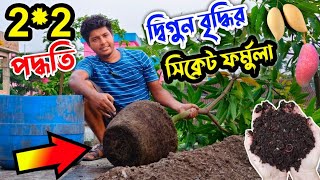 অল্প সময়ে বড়ো গাছ এর জন্য হাফ ড্রাম ও মাটি তৈরীর সম্পূর্ণ নতুন পদ্ধতি. soil preparation & plantation