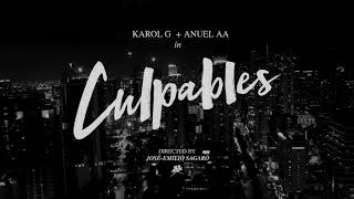 #Anuel AA ( #karol g #video official 208