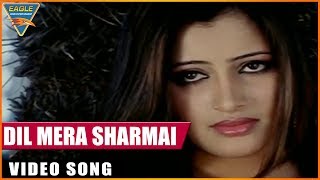 Naami Chor Hindi Dubbed Movie || Dil Mera Sharmai Video Song || Rishi || Eagle Entertainment Officia