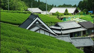 猿が遊ぶ南山城村の高尾集落【京都の田舎散歩・農村集落の風景】walking. Minamiyamashiro Village Takao, Kyoto, Japanese Village