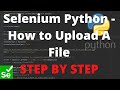Selenium Python - How to Upload A File Step by Step Tutorial