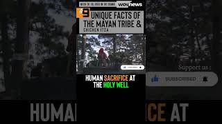 4/9 HUMAN S4CRIF1CE    #9 UNIQUE FACTS ABOUT THE MAYAN TRIBE #yotubeshorts #shorts